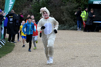 Normanby Hall Adventure Race 2019