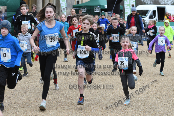 Normanby Hall Adventure Race 2019
