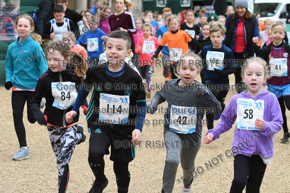 Normanby Hall Adventure Race 2019