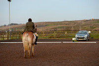 20141207 - NPRS - Dressage